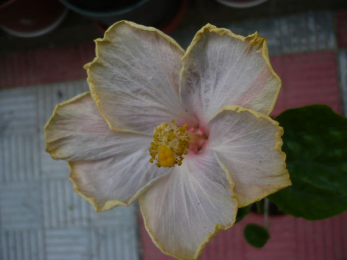 P1270699