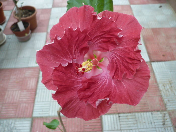 P1270700