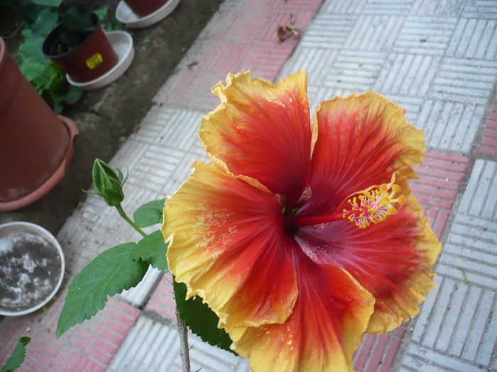 P1270704