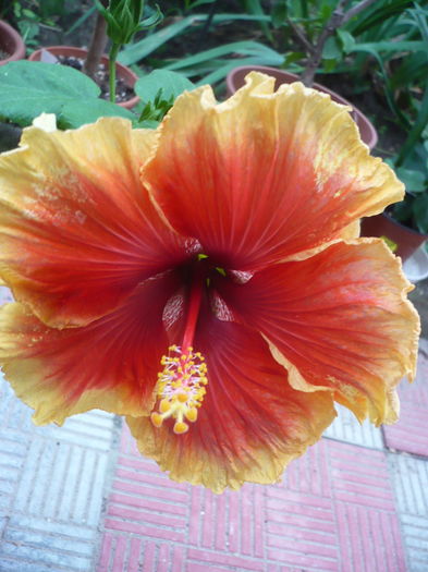 P1270705