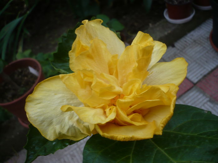 P1270708