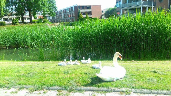 received_1095985830465661