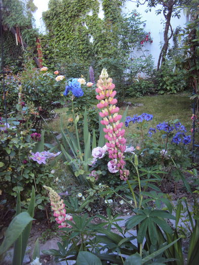 DSC01395