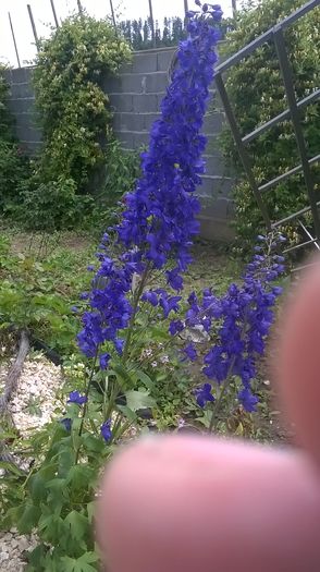 WP_20160620_13_08_17_Pro