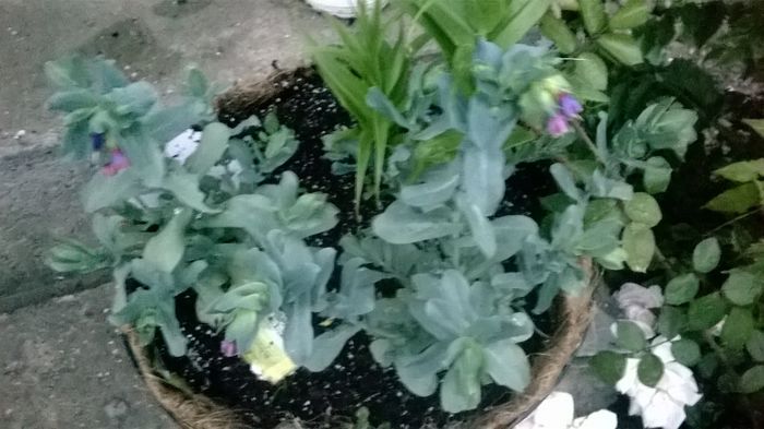 WP_20160622_21_22_47_Pro