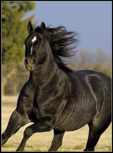 FB_IMG_1467092580968