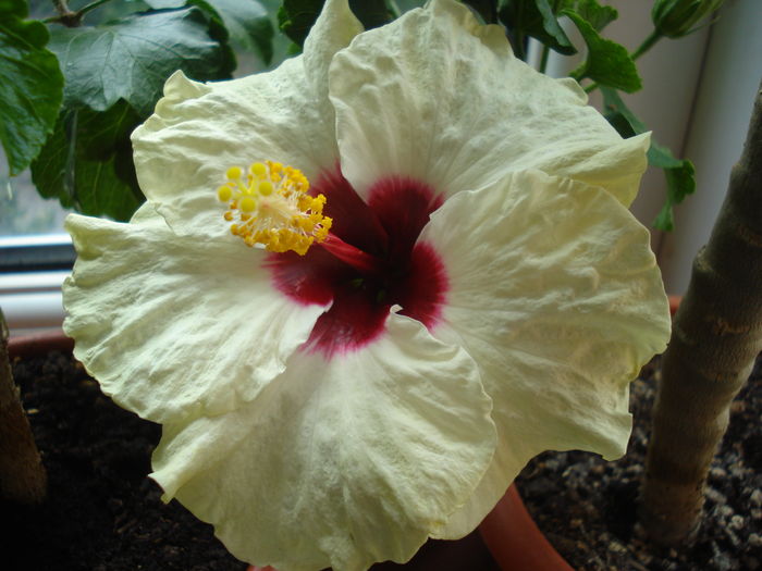 DSC05847