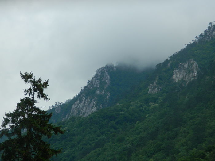 DSCN1492 - 2016 HERCULANE_2