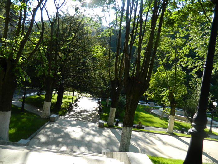 DSCN1564 - 2016 HERCULANE_2