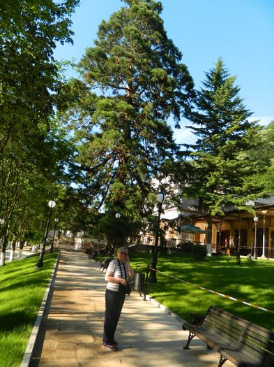 DSCN1567 - 2016 HERCULANE_2