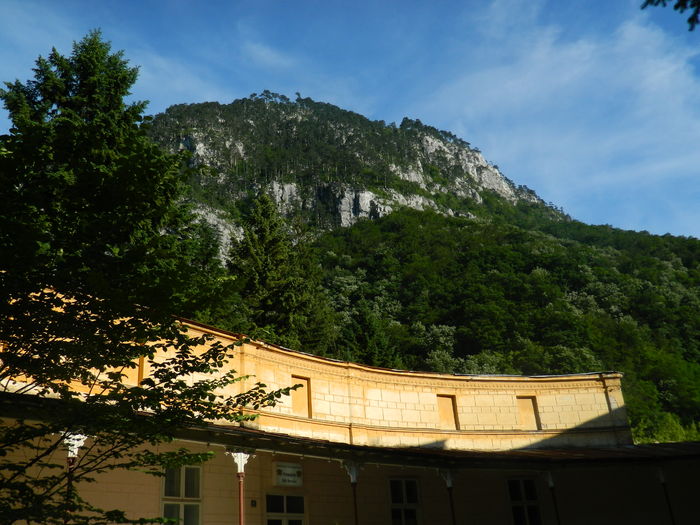 DSCN1570 - 2016 HERCULANE_2