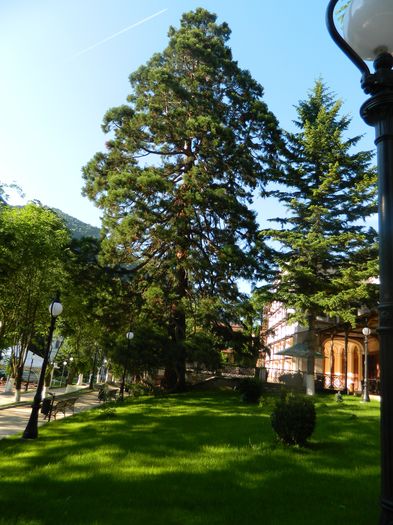 DSCN1572 - 2016 HERCULANE_2