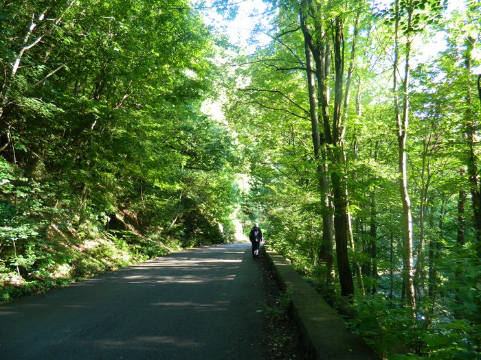 DSCN1577 - 2016 HERCULANE_2