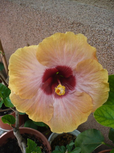 P1270735