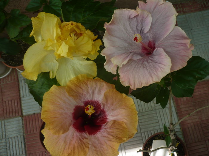 P1270731