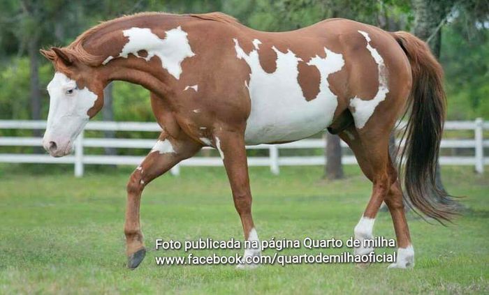 FB_IMG_1467092565739