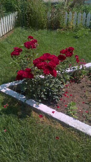 WP_20160625_11_52_50_Pro