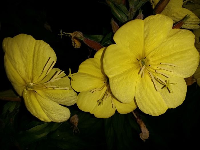 20160625_224628