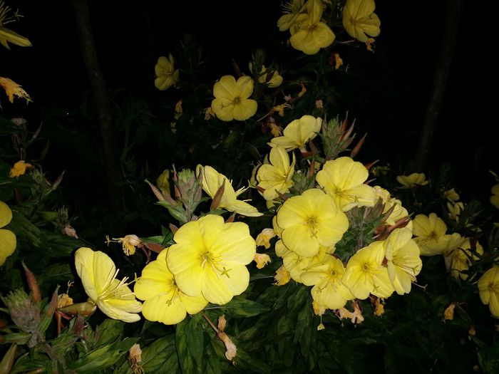 20160625_224608