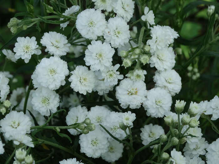 DSC08470