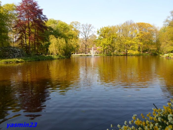 240 - 1Keukenhof Olanda 2016