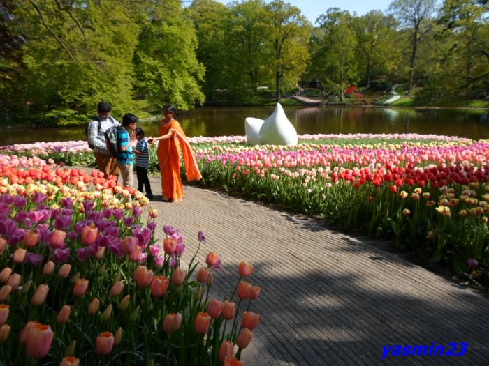 261 - 1Keukenhof Olanda 2016