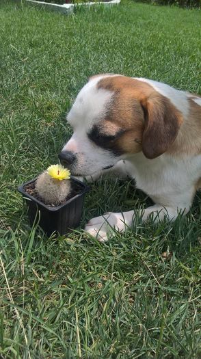 WP_20160629_13_26_00_Pro