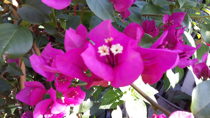 20160626_090928