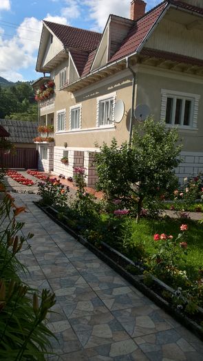 WP_20160629_17_40_57_Pro - Gradina 2016