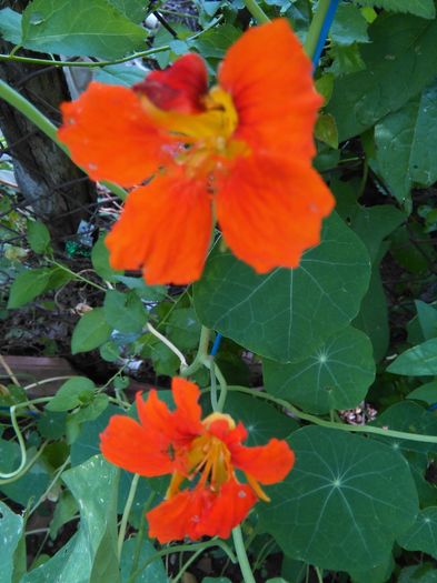 IMG_20160629_17341