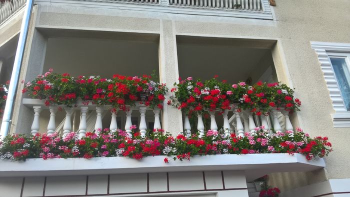 WP_20160629_20_13_21_Pro