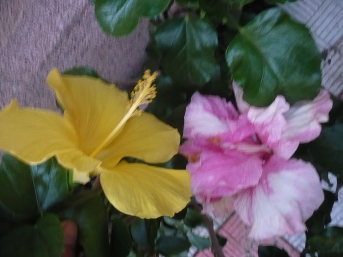 P1270753