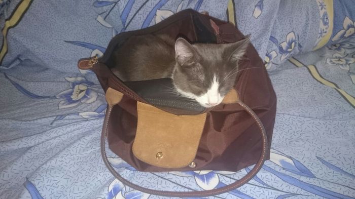 nu poti pleca la sala