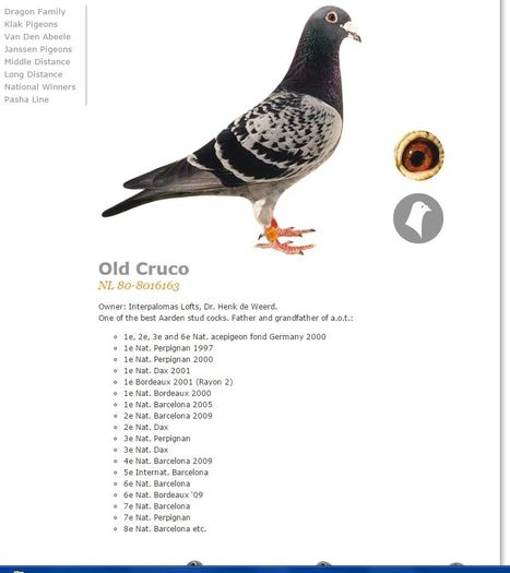 OLD CRUCO-DR HENK DE WEERD - Perechea nr 9