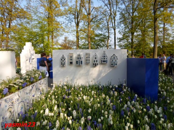 385 - 4Keukenhof Olanda