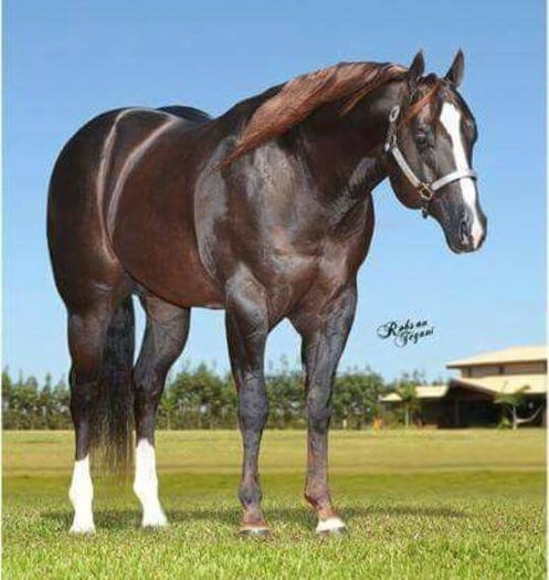 FB_IMG_1467177158956