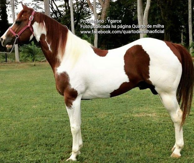 FB_IMG_1467177147825