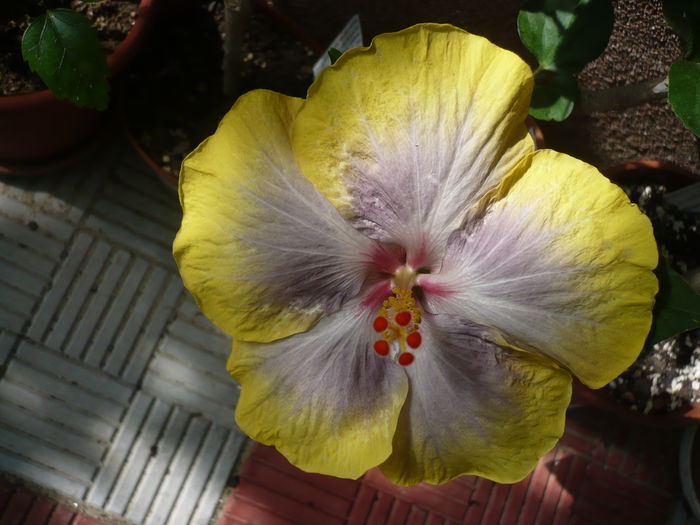 P1270772