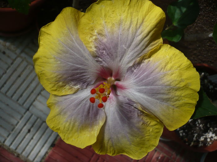P1270773