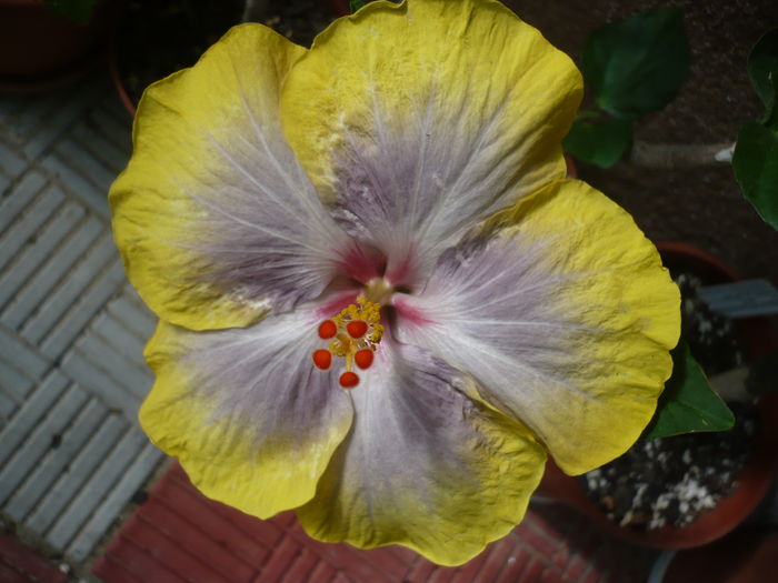 P1270774