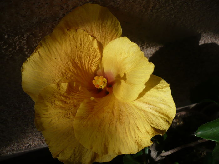 P1270776