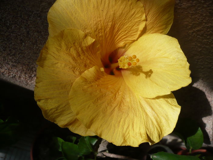 P1270777