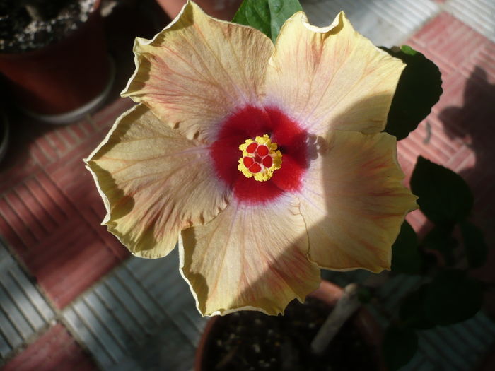 P1270781