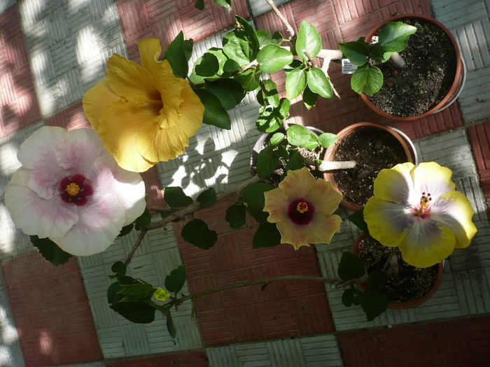 P1270783