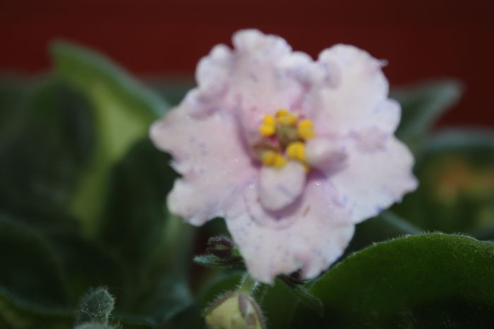 IMG_7165 - 2016 VARA