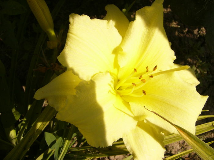 P1290471