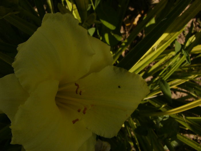 P1290472