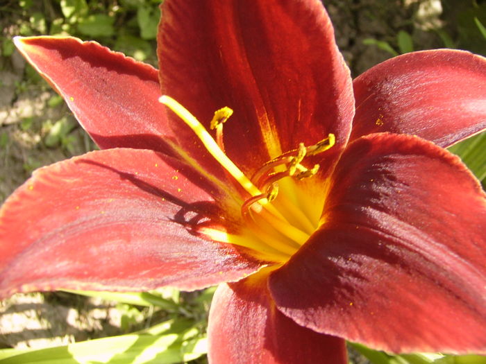 P1290475