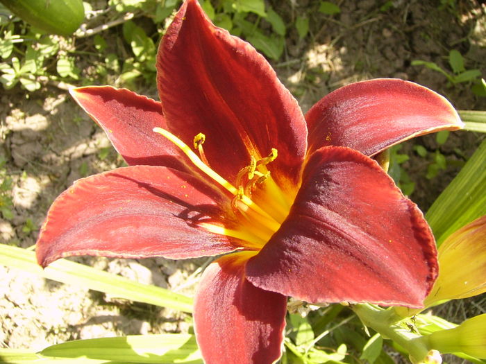 P1290476