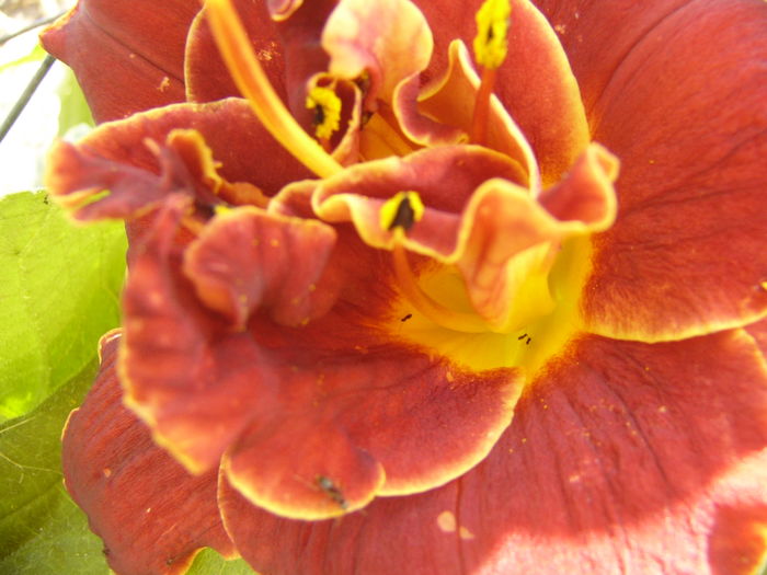 P1290478